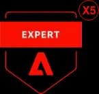 Certification Badge